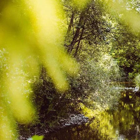 Retro Mobilehome Buurgplaaz * Wintger