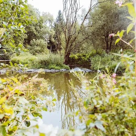 Retro Mobilehome Buurgplaaz Campingplatz